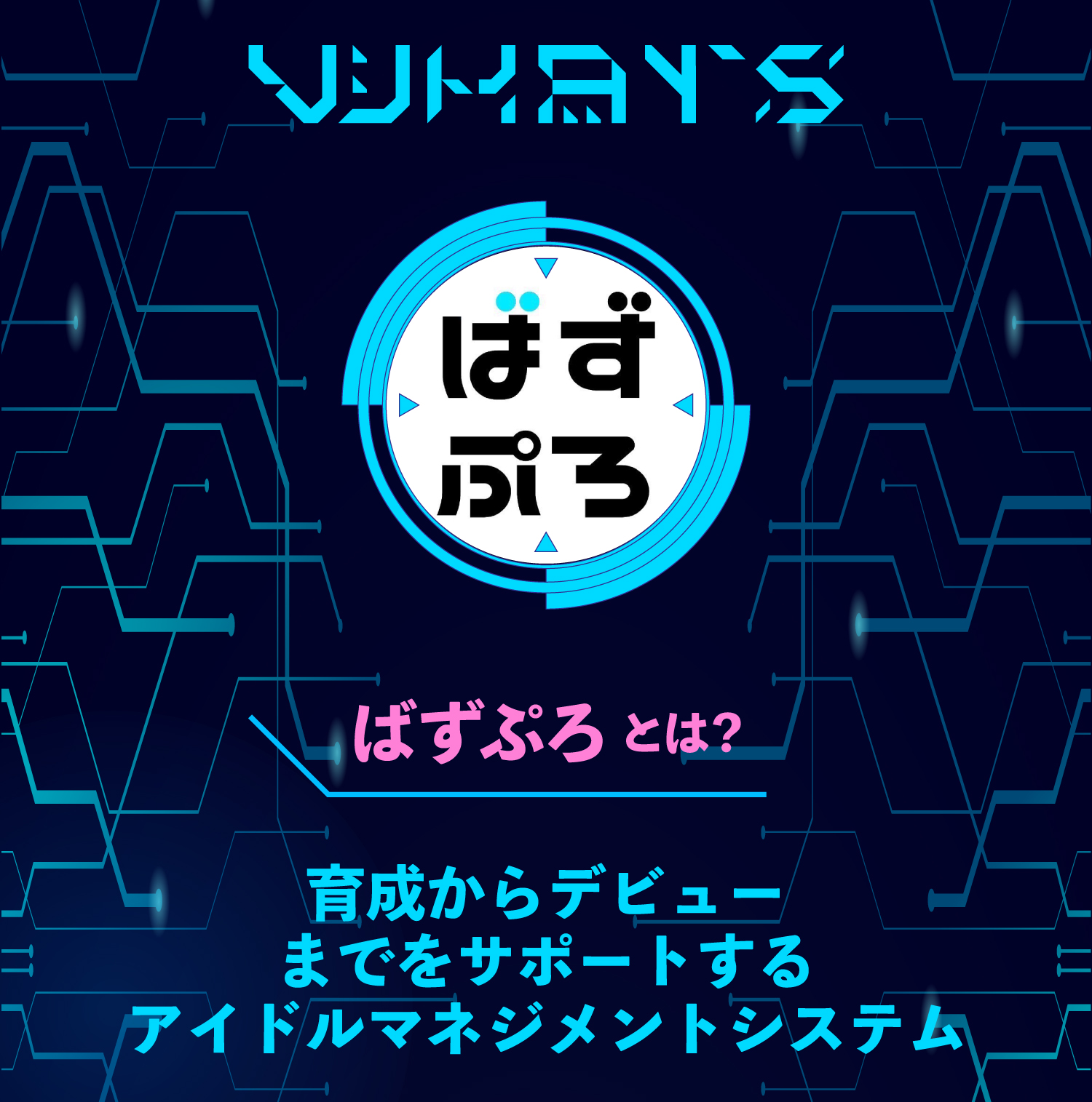 ばずぷろとは？